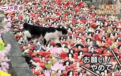 NHK総合を常に実況し続けるスレ 185931 ピカドンって漏れのこと？(；´Д｀) ->画像>24枚 